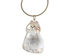 Recipiente para Pelaje de Gato Contenedor Portátil Pequeño Transparente