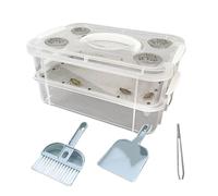 Recipiente transparente para gusanos de la harina 2026, para gusanos de maíz, adecuado para ardillas, gallinas, ranas barbas (transparente, 24 x 16 cm)
