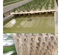 Recipientes de red con diseño de malla de raíz y 50 esponjas sin suelo para cultivo de suelo en hidroponía e invernaderos