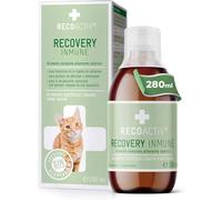 RECOACTIV Recovery Inmune para Gatos, 1 x 280 ml, alimento dietético Completo de Alto Contenido calórico para la desnutrición y la convalecencia y para el Aumento de Peso