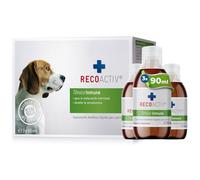 RECOACTIV Tónico Inmune para Perros, 3 x 90 ml, suplemento dietético para el Apoyo inmunológico y la prevención de los síntomas de carencia, eficaz Estimulante dietético del apetito