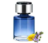 Recogedor de perfume de coche, Fabricante de fragancias de coche,Escena de vehículo Difusor Light Fragrance Auto Fairier - Car Perfume Pequeño Odor Eliminator para el automóvil Home Hotel