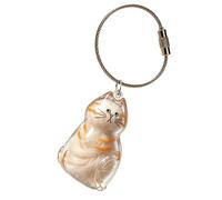 Recogepelos De Gato Para Llavero Colgante portallaves memorial transparente