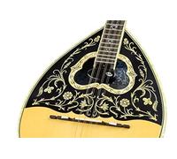 Recogida KNA Bouzouki BZ-1A Activo
