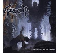 Recollections of the Insane (Black Vinyl [Vinilo]