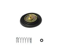 reconstrucción Kit de reparación carburador CVK30 30 mm para Suzuki 250 AN250 Burgman Linhai para Aeolus VOG 260, 300 TANK piezas reconstrucción Kit De Reparación De Carburador