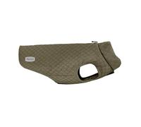 Record - Abrigo impermeable para perros Brandy. Abrigo con cierre de velcro y elásticos ajustables para patas. Abrigo de invierno para perros cálido y cómodo | Verde oscuro, XS, longitud de espalda 30