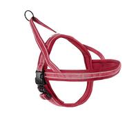 Record Arnés para Perros Dolomitas - Color Rojo - Talla M - Circunferencia 62 - 72 cm - Material: Nailon Trenzado con Bandas Reflectantes 3M ScotchLite