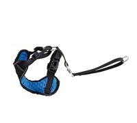 Record - Kit arnés Coche para Perros con conexión cinturón de Seguridad. Relleno de Masaje y Costuras Reflectantes para pasear y Viajar con Seguridad | L - Cuello 54-78 cm, Cintura 68-92 cm