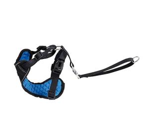Record - Kit arnés Coche para Perros con conexión cinturón de Seguridad. Relleno de Masaje y Costuras Reflectantes para pasear y Viajar con Seguridad | L - Cuello 54-78 cm, Cintura 68-92 cm