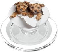 Recorte de 3 Cachorros Baby Lakeland Terrier Dogs PopSockets PopGrip para MagSafe