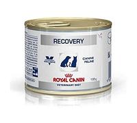 RECOVERY FEL/CAN. 12X195 GR (LATAS)