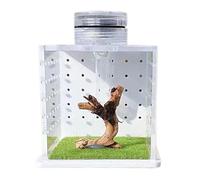 RECPLICA DE RIPIDER JUMPING - Depósito de Reproducción de Reptiles Transparentes, Con Luz Y Humidificador | Rana, Anfibio, Tarántula Y Hábitat De Insectos, Terrario Acrílico, Reptiles Que Habitan En