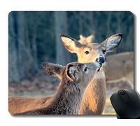 Rectangle Mouse Pads para computadoras Laptop, Deer Beso Dulce - Bordes cosidos