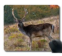 Rectangle Mouse Pads para computadoras Laptop, Fawn, gamo, asta - Bordes cosidos