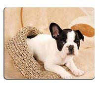 Rectángulo Mousepad Lindo, Mousepad del Perrito del Perro casero del Husky Siberiano de la Cara Divertida Fresca Linda