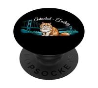 Recuerdo de Turquía de Estambul PopSockets PopGrip Adhesivo