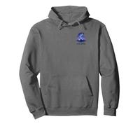 Recuerdo de viaje de bolsillo de Islandia Aurora Boreal Aurora Boreal Sudadera con Capucha