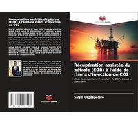 Récupération assistée du pétrole (EOR) à l'aide de risers d'injection de CO2: Étude du comportement transitoire du CO2 à travers un riser marin