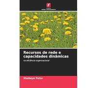 Recursos de rede e capacidades dinâmicas: na eficiência organizacional