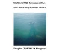 Recursos Humanos - Reflexões No Aparhum (ebook)