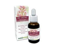 Red chestnut o Castaño de Indias rojo (Aesculus carnea) Remedios florales Naturalma - Gotas 30 ml - Extracto líquido sin alcohol - Esencias florales - Vegano y libre de alcohol