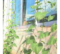 Red de enrejado de polietileno para uso en jardín, soporte para plantas trepadoras como uvas, frijoles y guisantes (2,7 x 5 m)