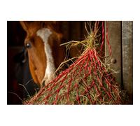 Red de heno - Zari - Hippotonic - Rojo - Rojo
