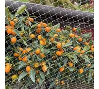 Red de jardín prémium para árboles frutales, malla de nailon para protección de ardillas y pájaros, red de enrejado reutilizable para arbustos de arándanos (10 x 25 m)