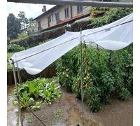 Red de Protección contra Granizo, Malla Antigranizo Reutilizable Alta Resistencia con Hilos Reforzados para Huerto Plantas de Jardín, Resistente a Desgarros, Malla de 5 mm(10 x 100 m/32.8 x 328.1 ft)