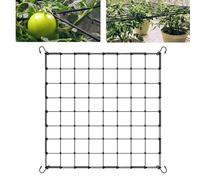 Red de protección de verduras, red de nailon para jardín de frutas, CuiCanfla Crecer tienda de campaña, (60 x 60 cm) Red elástica con 4 ganchos, red para plantas, verduras, flores, frutas