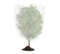 Red de protección para plantas blanca con cremallera y cordón, tejido de malla transpirable para árboles frutales, huertos, protección contra las heladas, protección contra plagas, tamaño 300 x 300 cm