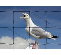 Red de red para pájaros para el jardín, 5 m x 5 m, 75 mm, antigaviotas, malla de 7,6 cm, color negro