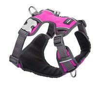 Red Dingo Arnés Acolchado para Perros Rosa - Talla S