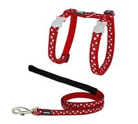 Arnés para Gato Red Dingo Style Rojo Estrella Blanco Correa