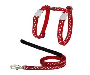 Red Dingo - Petral/correa Style gato