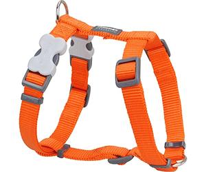 Red Dingo - Petral liso