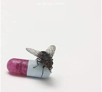 Red Hot Chili Peppers - I´m with you (2vinilo)