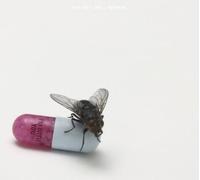 Red Hot Chili Peppers I'm With You (CD) Album