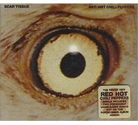 Red Hot Chili Peppers - Scar Tissue/Gong Li/Instrument