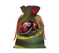 Red Ladybug Dasisy - Bolsa resistente con cordón de 4.7 x 6.9 pulgadas, bolsa de regalo moderna y práctica para necesidades diarias, 1 unidad