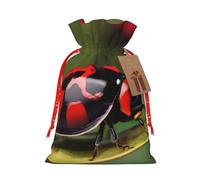 Red Ladybug Dasisy - Bolsas de regalo de Navidad versátiles de tela con cordón, perfectas para vacaciones y ocasiones especiales