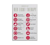 Red Light & Science Poster, Technology Explained Chart, Contemporary Wall Art for Home Office or Lab Decor(Framed,16X24inch(40X60cm))