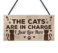 RED OCEAN Divertidos regalos de gatos para amantes de los gatos, regalo para mujeres, decoración del hogar, placa de animales, regalos novedosos para mascotas