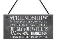 RED OCEAN Placa colgante con texto en inglés "Best Friend", regalo de amistad, gracioso, novedad, cumpleaños, Shabby Chic
