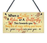 RED OCEAN Robin Memorial - Placa colgante para jardín (recuerdo)