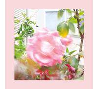 Red, Pinks And Purples - Summer At Lands End (Lp Ltd Pale Green St) [Vinilo]
