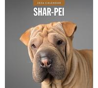 Red Robin Shar-Pei - Calendario mensual de pared 2026, abierto de 12 x 24 pulgadas, papel grueso y resistente de alta calidad, calendario de 12 meses para colgar, notas rayadas y área de tareas