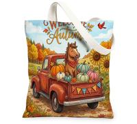 Red Truck - Bolsa de lona para compras, 13 x 15 pulgadas, diseño de calabaza, cosecha de calabaza, reutilizable, para mujer, vacaciones, playa, pintura estética, decoración de regalo