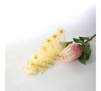 REDAEL 25/50 Piezas Bolsa de Organza 7x9 9x12 10x15 cm 13x18 cm Embalaje de joyería Bolsas de Organza Bolsa de Regalo para Fiesta de boda-oro-9x12cm-50pcs